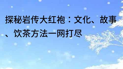 探秘岩传大红袍：文化、故事、饮茶方法一网打尽