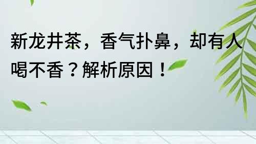 新龙井茶，香气扑鼻，却有人喝不香？解析原因！