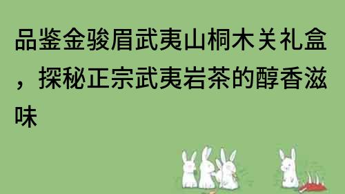 品鉴金骏眉武夷山桐木关礼盒，探秘正宗武夷岩茶的醇香滋味