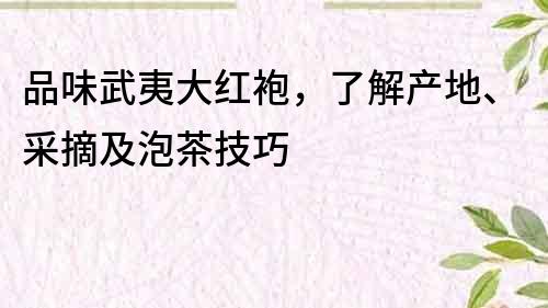 品味武夷大红袍，了解产地、采摘及泡茶技巧