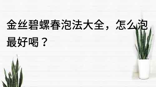 金丝碧螺春泡法大全，怎么泡最好喝？