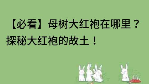 【必看】母树大红袍在哪里？探秘大红袍的故土！