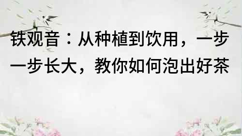 铁观音：从种植到饮用，一步一步长大，教你如何泡出好茶