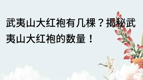 武夷山大红袍有几棵？揭秘武夷山大红袍的数量！