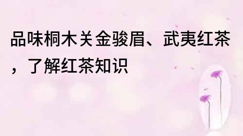 品味桐木关金骏眉、武夷红茶，了解红茶知识