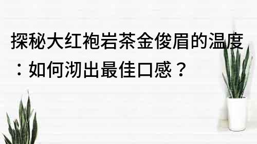 探秘大红袍岩茶金俊眉的温度：如何沏出最佳口感？