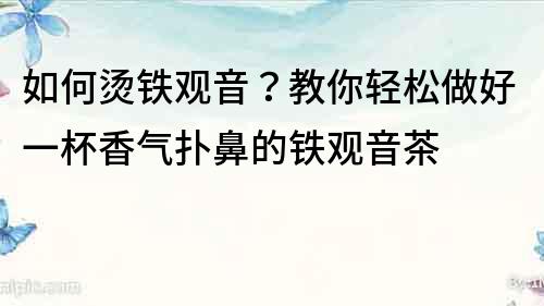 如何烫铁观音？教你轻松做好一杯香气扑鼻的铁观音茶