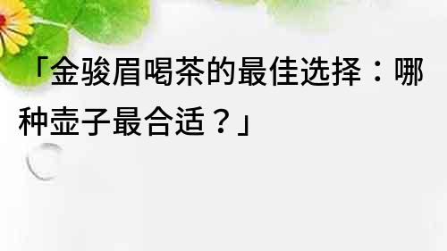 「金骏眉喝茶的最佳选择：哪种壶子最合适？」