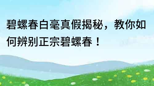 碧螺春白毫真假揭秘，教你如何辨别正宗碧螺春！