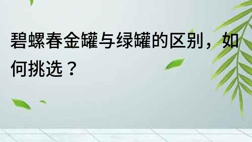 碧螺春金罐与绿罐的区别，如何挑选？