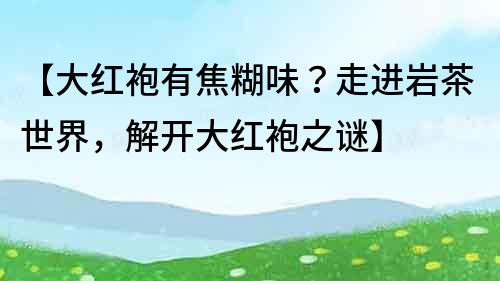 【大红袍有焦糊味？走进岩茶世界，解开大红袍之谜】