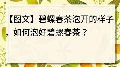 【图文】碧螺春茶泡开的样子，如何泡好碧螺春茶？