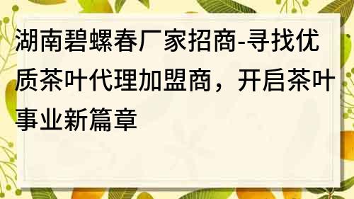 湖南碧螺春厂家招商-寻找优质茶叶代理加盟商，开启茶叶事业新篇章