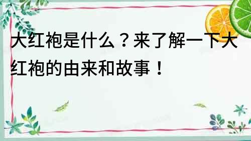 大红袍是什么？来了解一下大红袍的由来和故事！