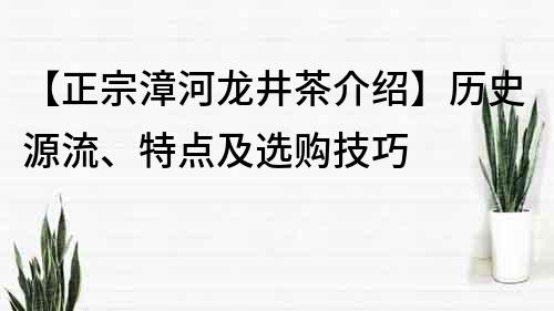 【正宗漳河龙井茶介绍】历史源流、特点及选购技巧