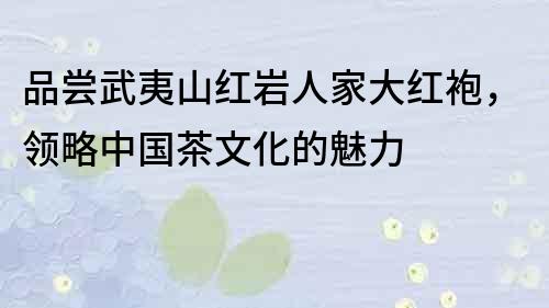 品尝武夷山红岩人家大红袍，领略中国茶文化的魅力