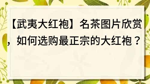 【武夷大红袍】名茶图片欣赏，如何选购最正宗的大红袍？