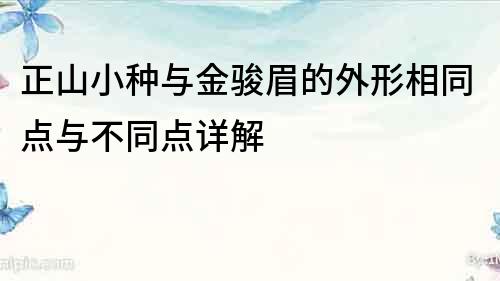 正山小种与金骏眉的外形相同点与不同点详解