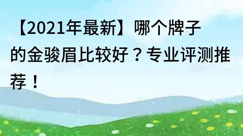 【2021年最新】哪个牌子的金骏眉比较好？专业评测推荐！