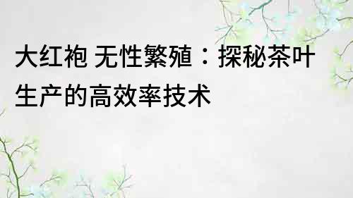 大红袍 无性繁殖：探秘茶叶生产的高效率技术