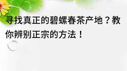 寻找真正的碧螺春茶产地？教你辨别正宗的方法！