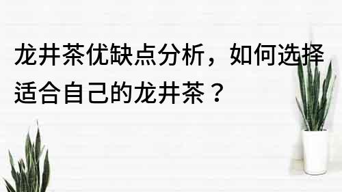 龙井茶优缺点分析，如何选择适合自己的龙井茶？