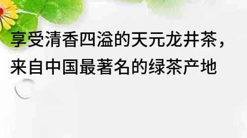 享受清香四溢的天元龙井茶，来自中国最著名的绿茶产地