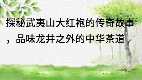 探秘武夷山大红袍的传奇故事，品味龙井之外的中华茶道