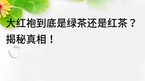 大红袍到底是绿茶还是红茶？揭秘真相！