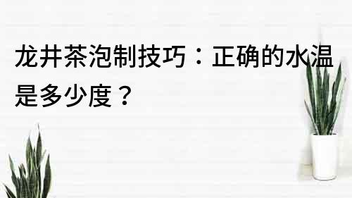 龙井茶泡制技巧：正确的水温是多少度？