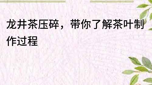 龙井茶压碎，带你了解茶叶制作过程