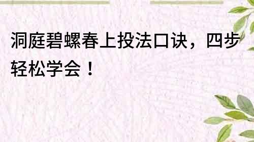 洞庭碧螺春上投法口诀，四步轻松学会！