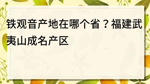 铁观音产地在哪个省？福建武夷山成名产区