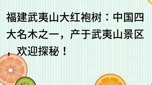 福建武夷山大红袍树：中国四大名木之一，产于武夷山景区，欢迎探秘！