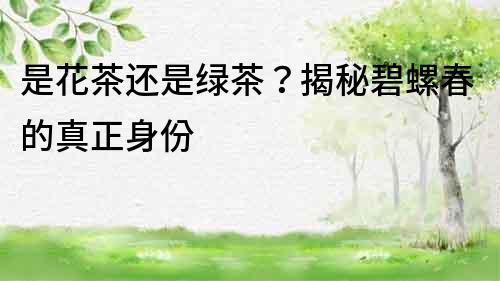 是花茶还是绿茶？揭秘碧螺春的真正身份