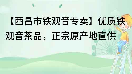 【西昌市铁观音专卖】优质铁观音茶品，正宗原产地直供