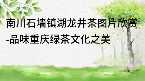 南川石墙镇湖龙井茶图片欣赏-品味重庆绿茶文化之美