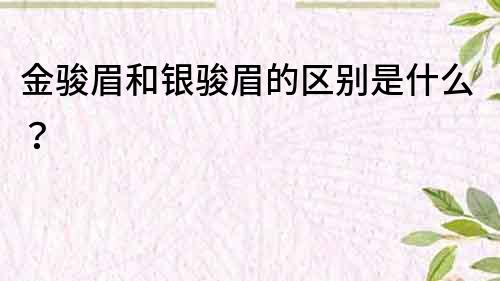 金骏眉和银骏眉的区别是什么？