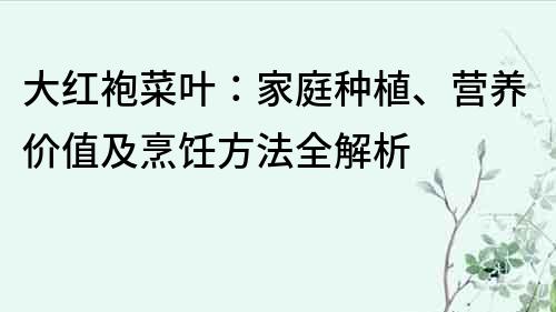 大红袍菜叶：家庭种植、营养价值及烹饪方法全解析