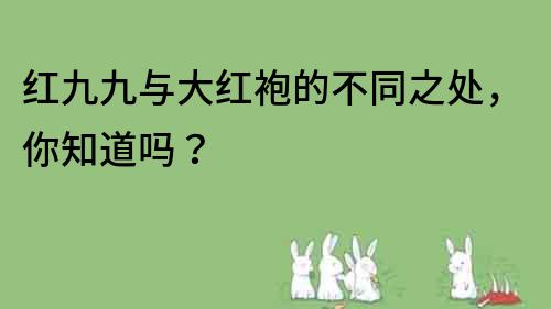 红九九与大红袍的不同之处，你知道吗？