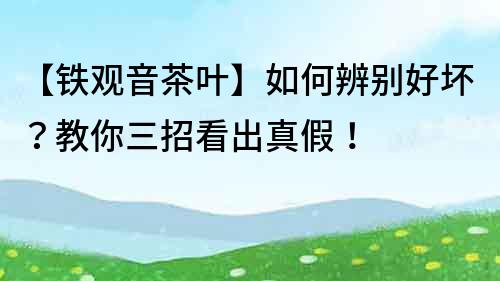 【铁观音茶叶】如何辨别好坏？教你三招看出真假！