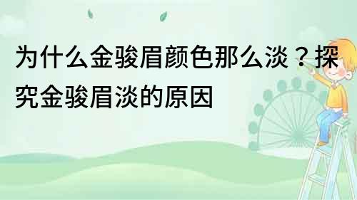 为什么金骏眉颜色那么淡？探究金骏眉淡的原因