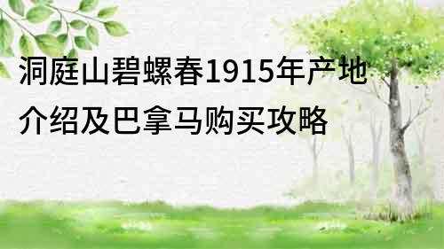 洞庭山碧螺春1915年产地介绍及巴拿马购买攻略