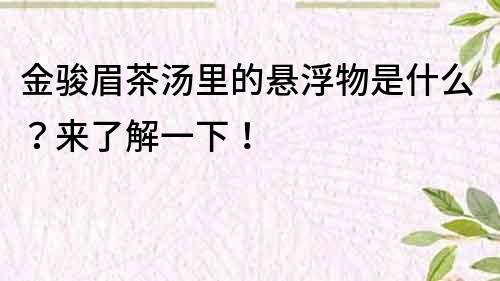 金骏眉茶汤里的悬浮物是什么？来了解一下！