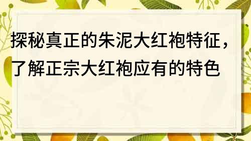 探秘真正的朱泥大红袍特征，了解正宗大红袍应有的特色