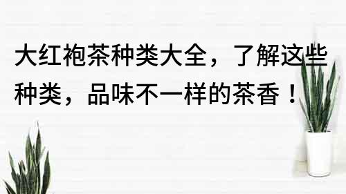 大红袍茶种类大全，了解这些种类，品味不一样的茶香！