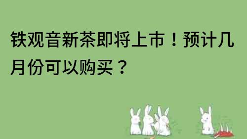 铁观音新茶即将上市！预计几月份可以购买？