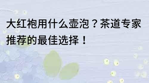 大红袍用什么壶泡？茶道专家推荐的最佳选择！