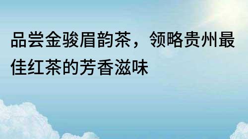 品尝金骏眉韵茶，领略贵州最佳红茶的芳香滋味