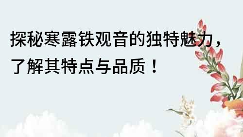 探秘寒露铁观音的独特魅力，了解其特点与品质！